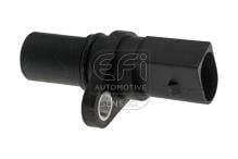 EFI AUTOMOTIVE 303216