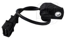 EFI AUTOMOTIVE 303219