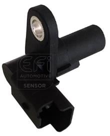 EFI AUTOMOTIVE 303233