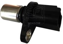 EFI AUTOMOTIVE 303246