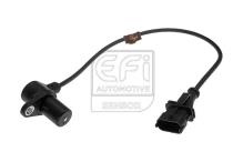 EFI AUTOMOTIVE 303268