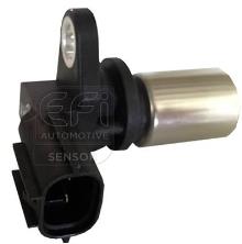 EFI AUTOMOTIVE 303281