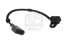 EFI AUTOMOTIVE 303293