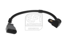 EFI AUTOMOTIVE 303304