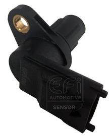 EFI AUTOMOTIVE 303312