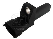 EFI AUTOMOTIVE 303319