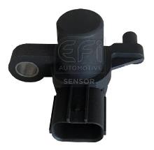 EFI AUTOMOTIVE 303320
