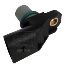 EFI AUTOMOTIVE 303323