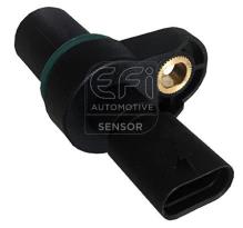 EFI AUTOMOTIVE 303349