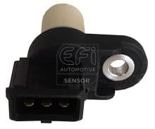 EFI AUTOMOTIVE 303379