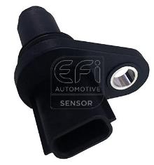 EFI AUTOMOTIVE 303427