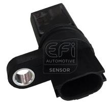 EFI AUTOMOTIVE 303438