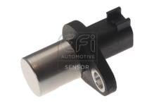 EFI AUTOMOTIVE 303444