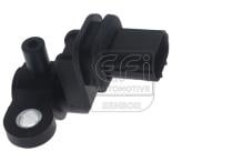 EFI AUTOMOTIVE 303445
