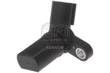EFI AUTOMOTIVE 303447