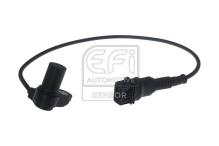 EFI AUTOMOTIVE 303448