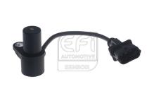 EFI AUTOMOTIVE 303455