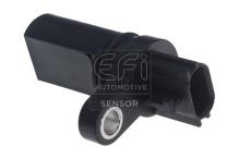 EFI AUTOMOTIVE 303457