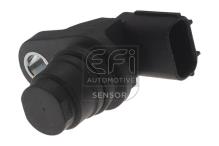 EFI AUTOMOTIVE 303459
