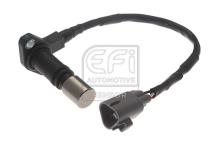 EFI AUTOMOTIVE 303465