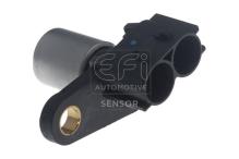 EFI AUTOMOTIVE 303474