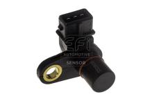 EFI AUTOMOTIVE 303493
