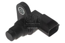 EFI AUTOMOTIVE 303496