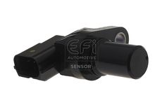 EFI AUTOMOTIVE 303510