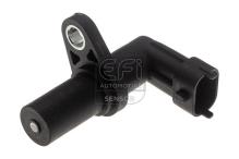 EFI AUTOMOTIVE 303518