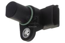 EFI AUTOMOTIVE 303520