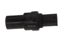 EFI AUTOMOTIVE 304007
