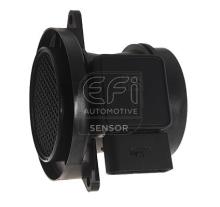 EFI AUTOMOTIVE 305001