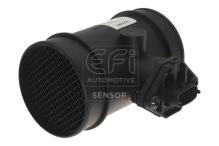EFI AUTOMOTIVE 305002