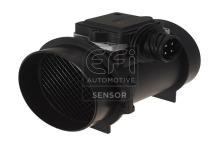 EFI AUTOMOTIVE 305005