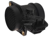 EFI AUTOMOTIVE 305008