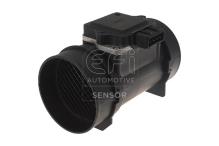 EFI AUTOMOTIVE 305009