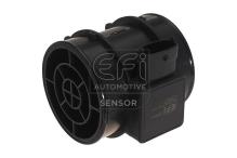EFI AUTOMOTIVE 305011