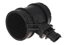 EFI AUTOMOTIVE 305014