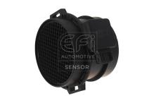 EFI AUTOMOTIVE 305018
