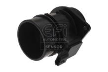 EFI AUTOMOTIVE 305019