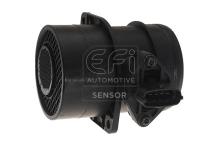 EFI AUTOMOTIVE 305020