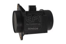 EFI AUTOMOTIVE 305023