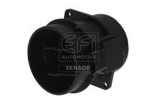 EFI AUTOMOTIVE 305024