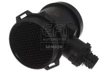EFI AUTOMOTIVE 305027