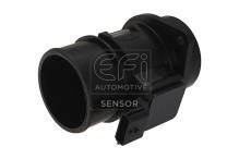 EFI AUTOMOTIVE 305028