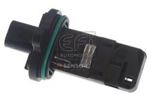 EFI AUTOMOTIVE 305029