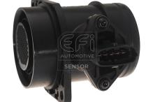 EFI AUTOMOTIVE 305031