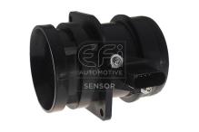 EFI AUTOMOTIVE 305033