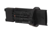 EFI AUTOMOTIVE 305043