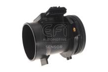 EFI AUTOMOTIVE 305044